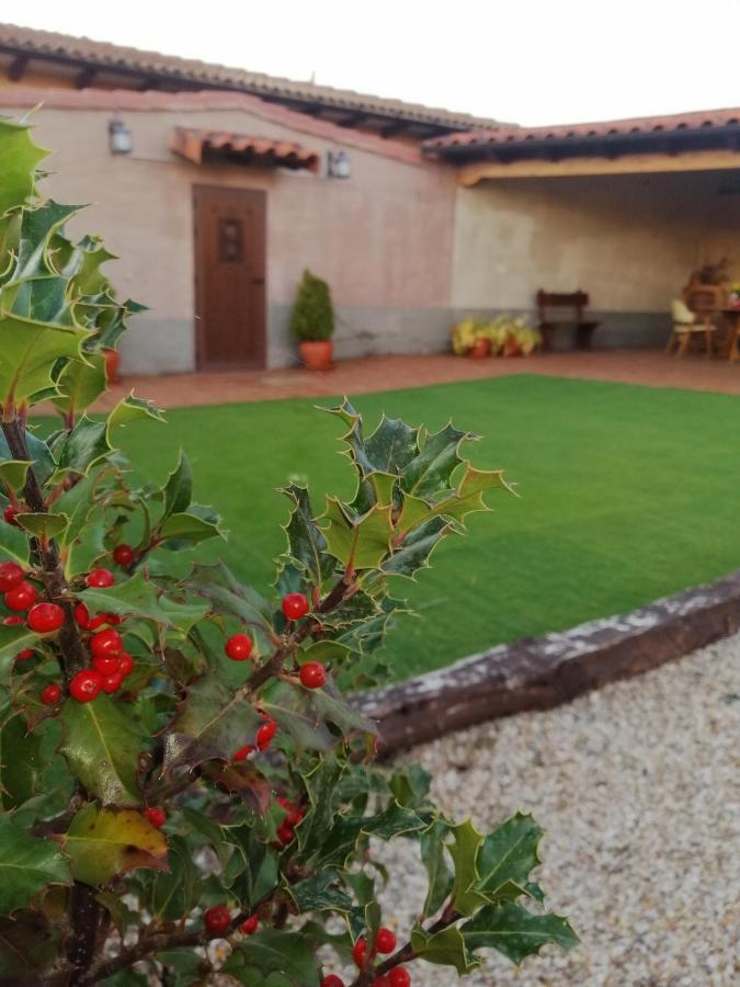 Casa Los Lagares Peral de Arlanza 外观 照片
